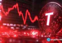 Reasons behind the 50% Collapse of TON Tokens news-04102024-205103