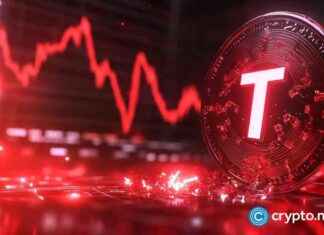 Reasons behind the 50% Collapse of TON Tokens news-04102024-205103