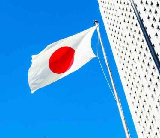 Boost Your Coin Stash: Bitcoin Holder Metaplanet Sells BTC Options news-07102024-030218