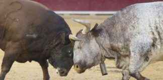 Bitcoin Price Approaches $64K, Memecoin Supercycle Drives Surge in MOG and POPCAT news-07102024-090331