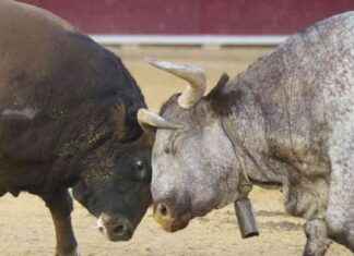 Bitcoin Price Approaches $64K, Memecoin Supercycle Drives Surge in MOG and POPCAT news-07102024-090331