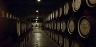 Anduro by Bitcoin Miner Marathon Launches Tokenization Platform for Whiskey Industry news-07102024-150445