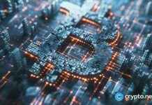 Bitlayer secures $9m in extended series A funding from Polychain Capital news-08102024-232722