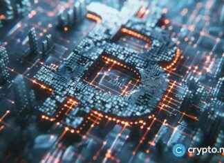 Bitlayer secures $9m in extended series A funding from Polychain Capital news-08102024-232722