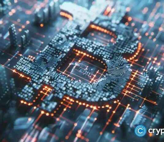 Bitlayer secures $9m in extended series A funding from Polychain Capital news-08102024-232722