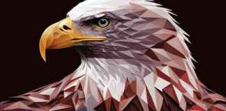 Dogizen’s Telegram ICO Success: $452K Raised in Days by 1.3M Gaming Users news-09102024-052806