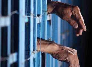 Crypto Market Makers Charged with Market Manipulation and Fraud news-09102024-233421