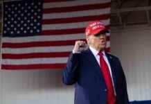 Trump’s Lead Grows Over Harris on Polymarket Prediction Market news-11102024-055508