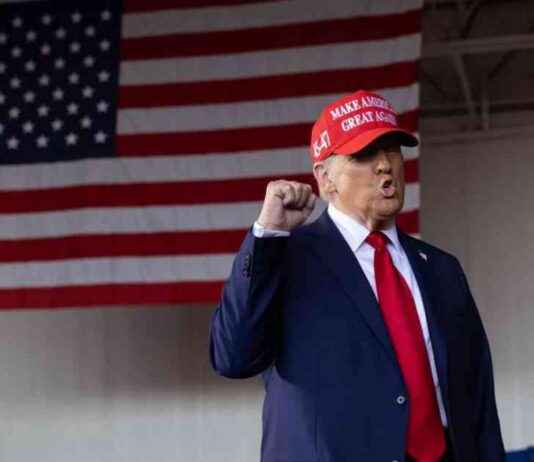 Trump’s Lead Grows Over Harris on Polymarket Prediction Market news-11102024-055508