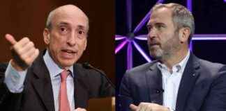 Ripple’s Strategy for ‘Cross-Appeal’ in SEC Lawsuit news-11102024-055547