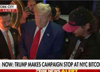 Trump-Themed PoliFi Tokens Thrive Amid Bitcoin Downtrend and China Stimulus Hopes news-11102024-115638