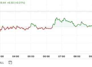 Bitcoin Price Analysis: First Mover Americas Trims Inflation-Led Losses news-11102024-180251