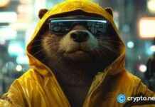 Top 3 Altcoins Under $0.05 with Potential 75x Gains in the Next Bull Run news-12102024-122009