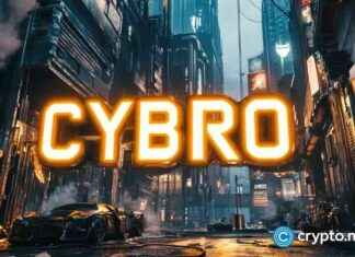 Future Bitcoin Competitors: Analysts Predict Buying BTC for $1 Opportunity news-12102024-182114