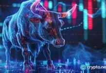 Cardano vs XRP Price Action: RCO Finance Prepares for 3,000% Surge news-13102024-192009