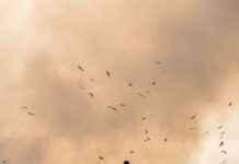 Man Sues Local Council to Retrieve $527M in Accidental Bitcoin Transfer news-14102024-192750