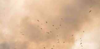 Man Sues Local Council to Retrieve $527M in Accidental Bitcoin Transfer news-14102024-192750