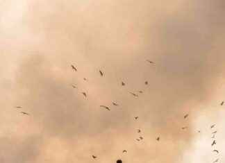 Man Sues Local Council to Retrieve $527M in Accidental Bitcoin Transfer news-14102024-192750