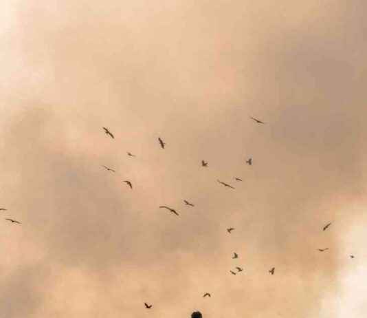 Man Sues Local Council to Retrieve $527M in Accidental Bitcoin Transfer news-14102024-192750