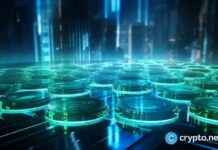 Solana’s Wintermute: Meme Coins Drive 40% of Trading Volume news-15102024-133531