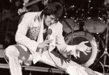 Elvis Digital Art Collection Immortalized on Bitcoin Blockchain news-17102024-195550