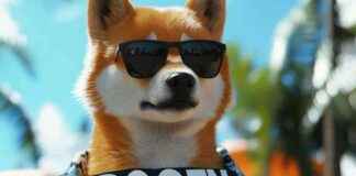 Top Cryptocurrencies ADA, XRP, and Dogecoin Set to Outperform in 2024 news-18102024-195927