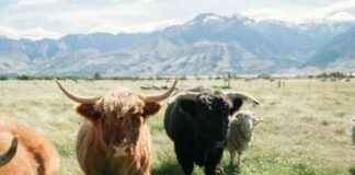 Bitcoin’s Overlooked Catalyst Signals Impending Record-Breaking Change news-18102024-195957