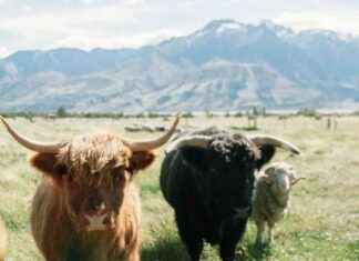 Bitcoin’s Overlooked Catalyst Signals Impending Record-Breaking Change news-18102024-195957