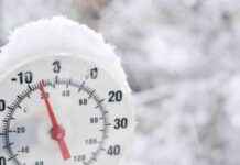 Trustless Environmental Monitoring: A New Era of Transparency news-19102024-020106