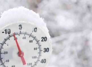 Trustless Environmental Monitoring: A New Era of Transparency news-19102024-020106