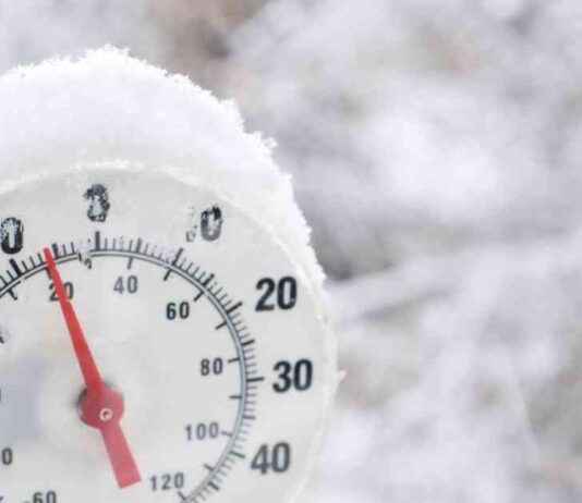 Trustless Environmental Monitoring: A New Era of Transparency news-19102024-020106