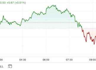 BTC Price Surges to $67K as APE Options Gain Momentum in First Mover Americas news-23102024-082507