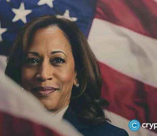 XRP Faces Billions in Losses as Analyst Predicts 2,200% Surge for INTL news-23102024-142527