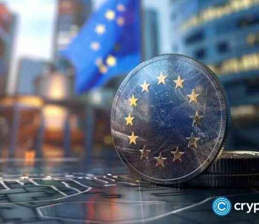 Austria’s Largest Fraud Trial: Five Sentenced in $21.6m Crypto Scam news-24102024-143008