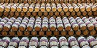 Bitcoin Integration for Financial Advisors: Utilizing Cryptocurrency Assets news-24102024-203313