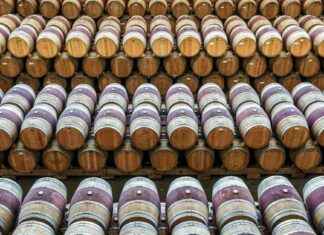 Bitcoin Integration for Financial Advisors: Utilizing Cryptocurrency Assets news-24102024-203313