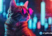 MEW Surges to Record High Following Bitstamp Listing news-25102024-023303