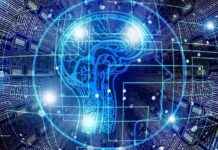 Web3 VCs Embrace Crypto and AI: Exploring the Future of Venture Capital news-25102024-083942