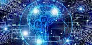 Web3 VCs Embrace Crypto and AI: Exploring the Future of Venture Capital news-25102024-083942