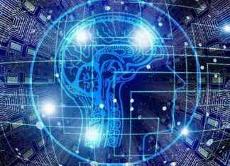 Web3 VCs Embrace Crypto and AI: Exploring the Future of Venture Capital news-25102024-083942