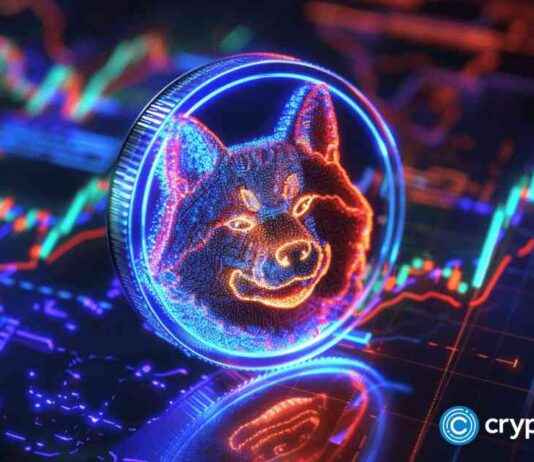 Potential 30,000% Profit Opportunity with DOGE Analyst’s SHIB Killer news-25102024-204102