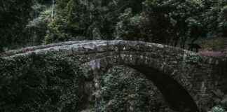 Bitcoin Liquidity Flow to Cardano: New BTC Bridge Boosts Ecosystem news-26102024-024313