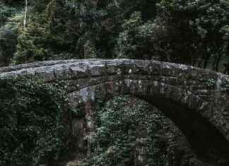 Bitcoin Liquidity Flow to Cardano: New BTC Bridge Boosts Ecosystem news-26102024-024313