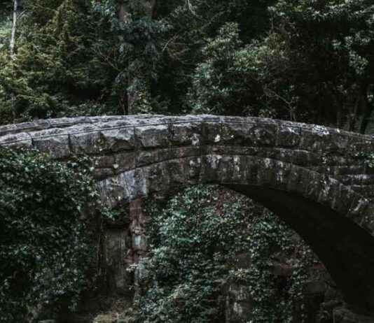 Bitcoin Liquidity Flow to Cardano: New BTC Bridge Boosts Ecosystem news-26102024-024313