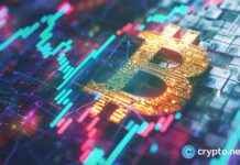 news-26102024-204944