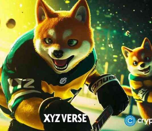 Crypto Traders Favor Newcomer Under $0.00025 for 2025 Bull Run news-28102024-090702