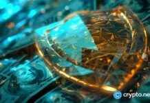 Uncovering the $20 Million Bitfinex Mystery: Arkham Intelligence Analysis news-28102024-150734