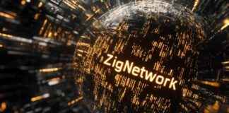 Exploring the Benefits of Zig Network for Hedera and Kusama Holders news-28102024-210924