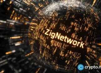 Exploring the Benefits of Zig Network for Hedera and Kusama Holders news-28102024-210924