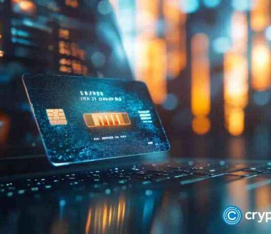 FV Bank and Visa Introduce New Crypto-USD Cards news-29102024-031050
